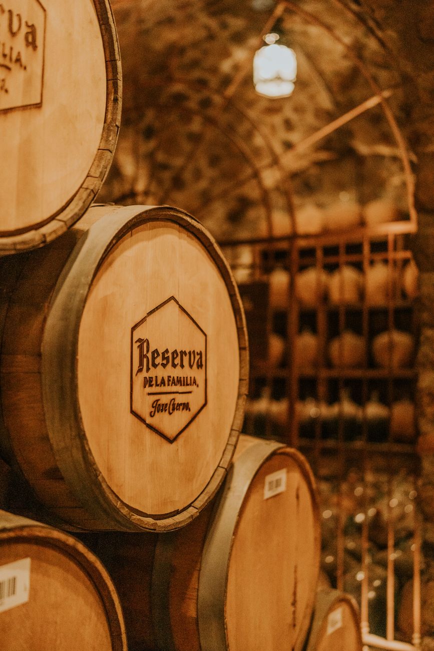 Cata privada en bodega boutique de Mendoza